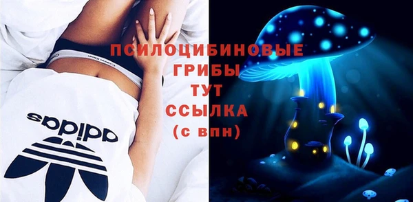 гидра Вязьма