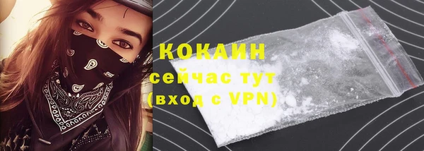 гидра Вязьма