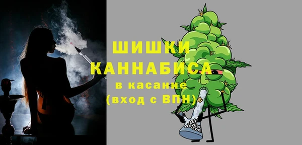 гидра Вязьма