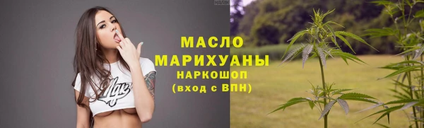 гидра Вязьма