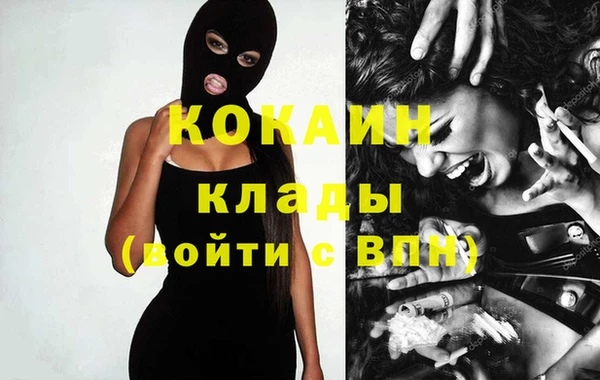 гидра Вязьма