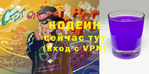 гидра Вязьма
