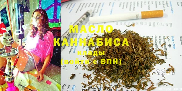 гидра Вязьма