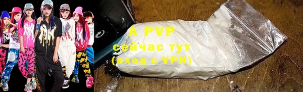 гидра Вязьма