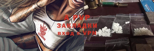 гидра Вязьма