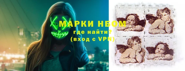 гидра Вязьма
