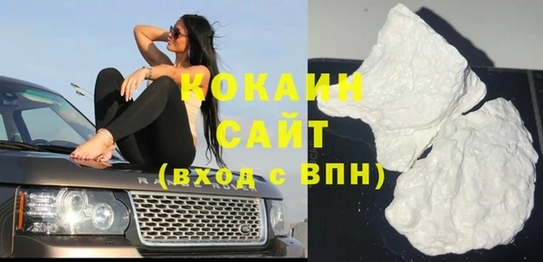 гидра Вязьма