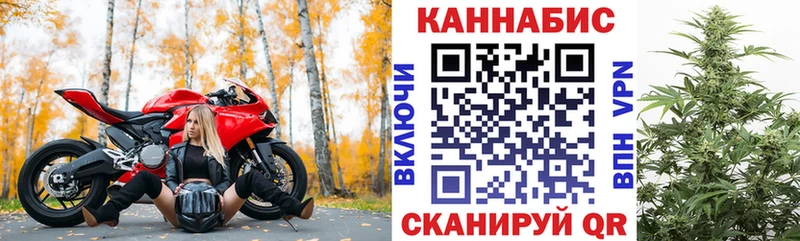 Марихуана OG Kush Набережные Челны